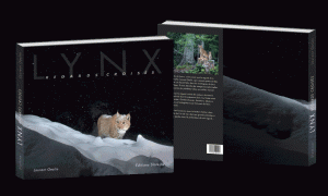 final-couverture-lynx--1024x614